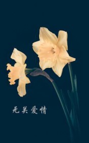 无关爱情